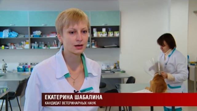 31 10 2016 Семья из Ижевска получила серьёзное отравление из-за средства для обуви смотреть онлайн