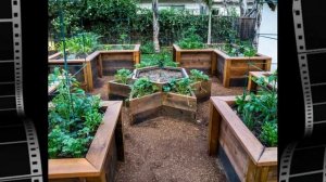 ЭКОНОМНЫЕ ГРЯДКИ / 50 ИДЕЙ НЕОБЫЧНЫХ ГРЯДОК