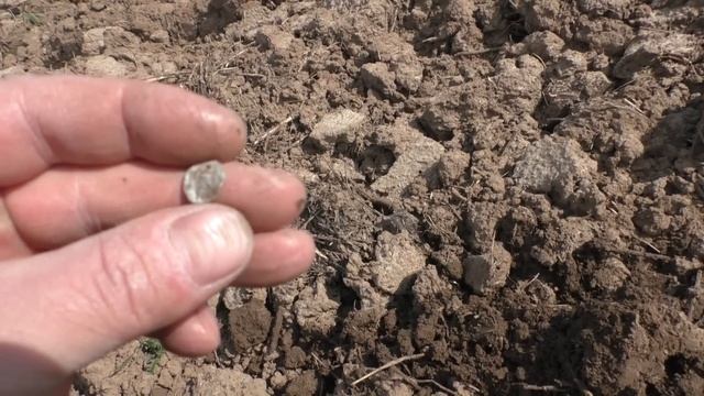 ВСПАХАЛИ ДРЕВНЮЮ СЕЛУХУ , И МЫ УЖЕ ТУТ / СУПЕР НАХОДКИ. смотреть онлайн