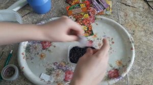 Примула выращивание рассады 2019 многолетние цветы СТРАТИФИКАЦИЯ