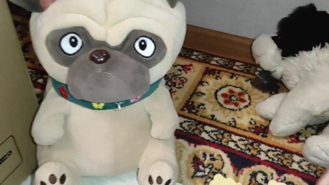 Ми пішли гуляти в собачий парк