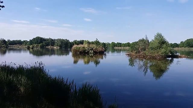 Релакс у озёр, птицы,солнце,ветерок смотреть онлайн