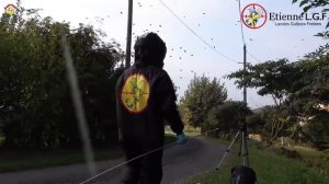 Самая мощная атака Азиатского Шершня 2018 года.  Охотник на шершней. Профессии для экстремалов