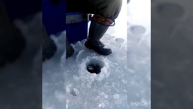 Рыбалка. Красноярск смотреть онлайн