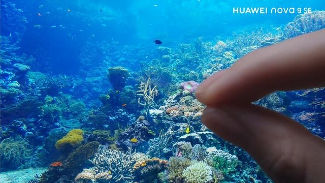 HUAWEI nova 9 SE! смотреть онлайн