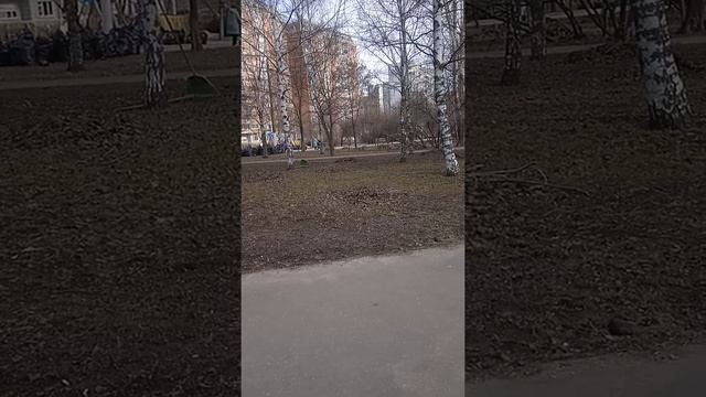 двухлодыжичный перелом со смещением смотреть онлайн