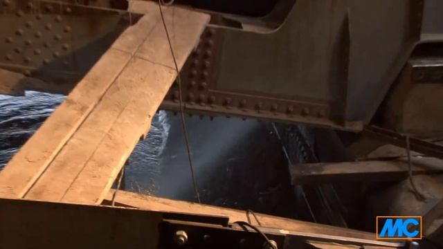 МС Инъекции Дворцовый мост