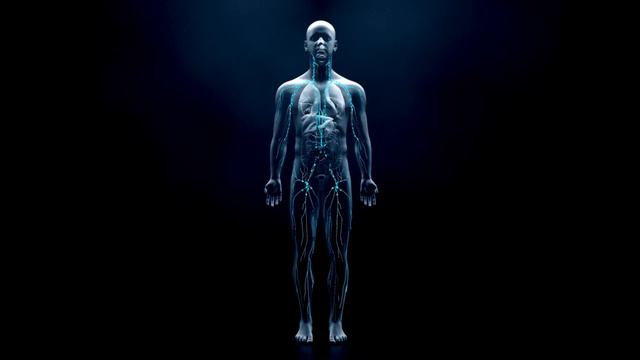 Universal Rife Frequencies To Treat Candida