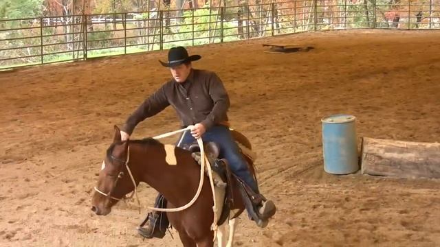 Arena work under saddle 2 - SCEA Rescue horse смотреть онлайн