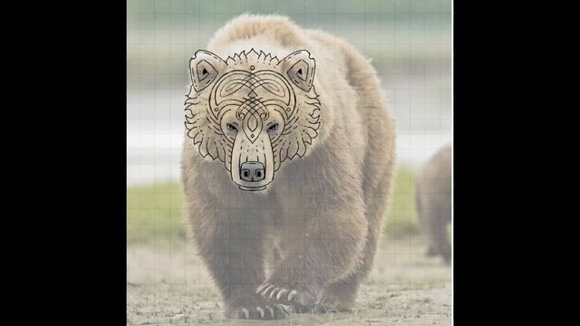 Рисуем голову медведя в кельтском стиле. Draw the head of a bear in the Celtic style. смотреть онлайн