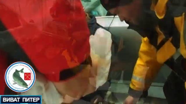 Кубок Спб 08 02 15 оз Высокинское смотреть онлайн