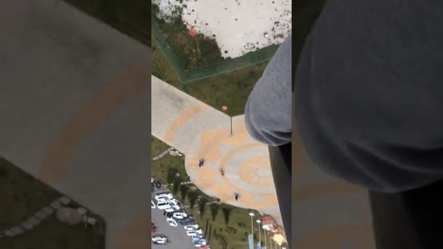 Сочи парк смотреть онлайн