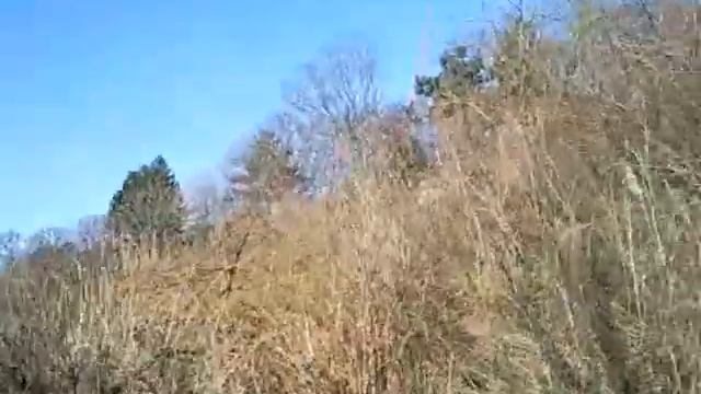 Метроном.mp4 смотреть онлайн