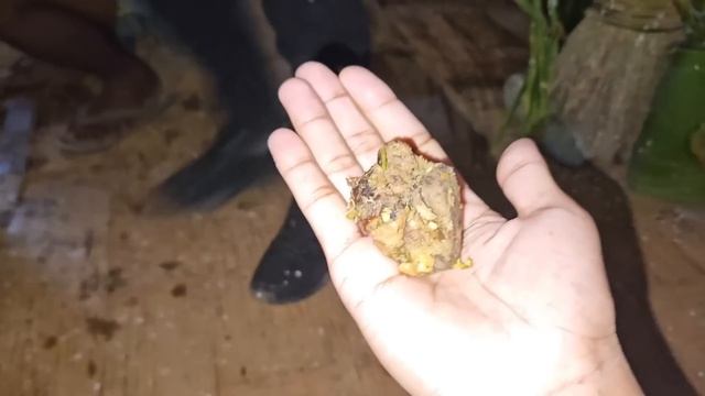 Gondengre Wangala rekuna_Rugalani attam смотреть онлайн