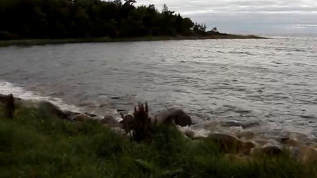 На берегу Белого моря смотреть онлайн