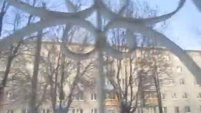 Воробьи зимой, на улице -25 С смотреть онлайн
