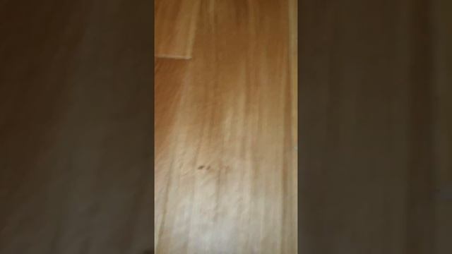 Reklamacja podłogi смотреть онлайн