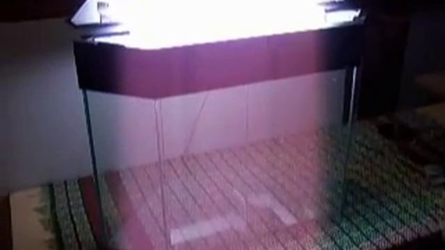 Аквариум, крышка.MOV смотреть онлайн