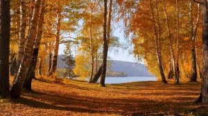 Драгоценные возможности старости. Отец Сергий Булгаков.