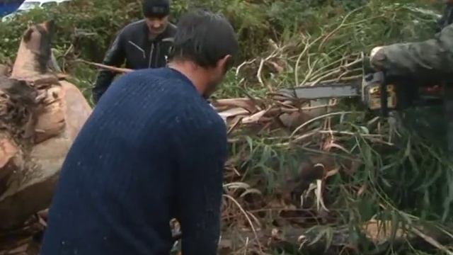 Работы по восстановлению линии электропередач смотреть онлайн