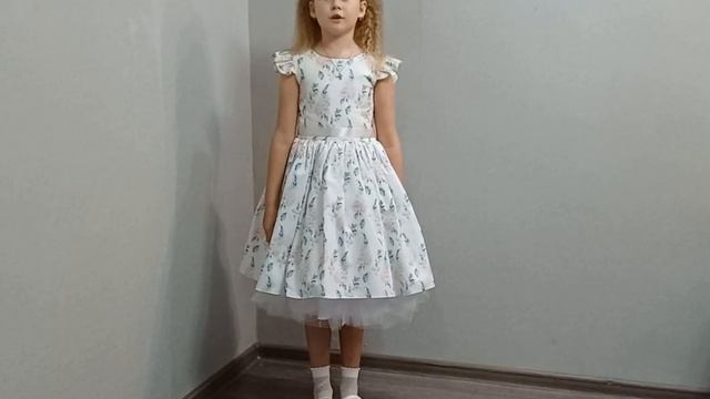 Раченкова Полина, МОУ СОШ №36, г. Комсомольск-на-Амуре смотреть онлайн