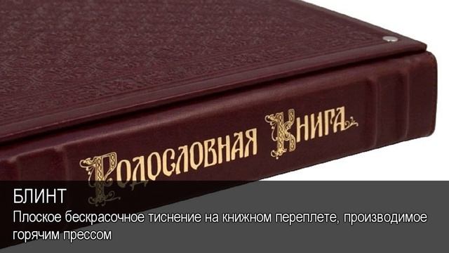 Блинт. Толковый Видеословарь русского языка смотреть онлайн