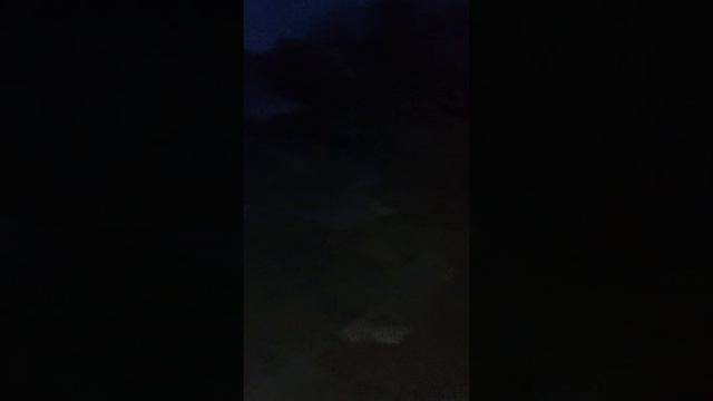 сегодня я вам расскажу про животных под именем ласка смотреть онлайн