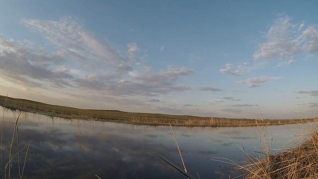 Зачётная Вечерняя рыбалка на реке Урал! кто клюёт в Мае! смотреть онлайн