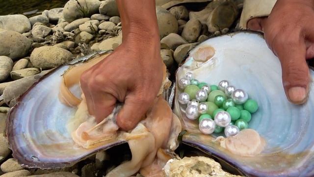 ? The secret of the river bottom! The boy accidentally discovered a pearl hiding clam ? смотреть онлайн