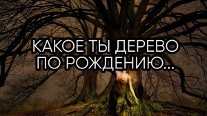 КАКОЕ ТЫ ДЕРЕВО ПО РОЖДЕНИЮ...