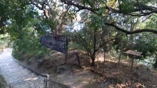 25.07.2023 Крым. Мыс Фиолент. 850 ступеней вниз... смотреть онлайн