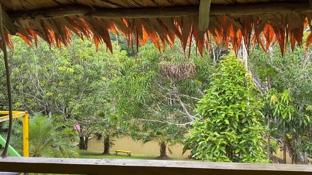 Rain in the jungle | Iquitos, Peru with Olga Bednarski 2022 смотреть онлайн