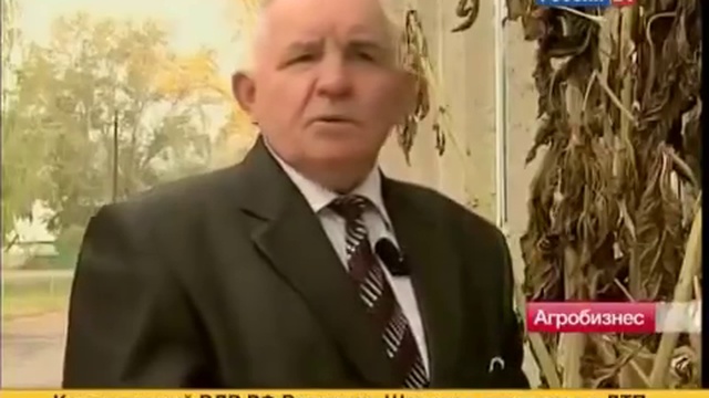 Забытый (не без помощи доброжелателей) Амарант смотреть онлайн