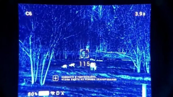 Теплаки и ночники (пнв и тепловизоры)