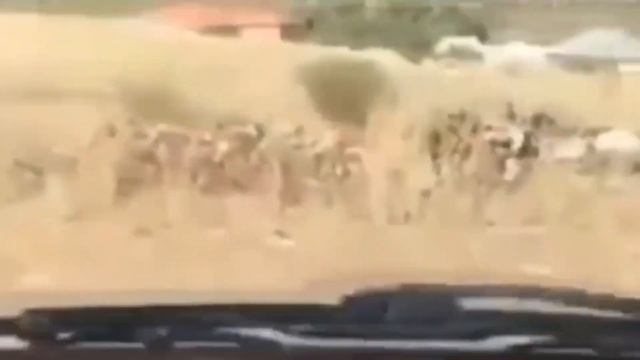 Чертовщина в квартире, зачем эта женщина появляется? смотреть онлайн