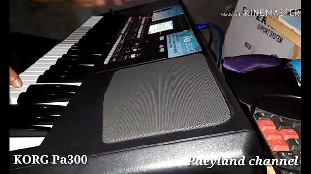 TEST SAMPLING..KORG PA300 Versi Indo смотреть онлайн
