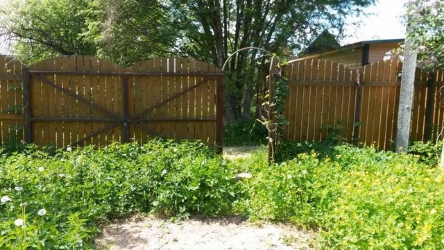 Участок крайний к березовой роще смотреть онлайн