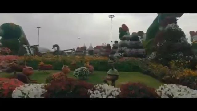 Айдин Vs Айдай смотреть онлайн