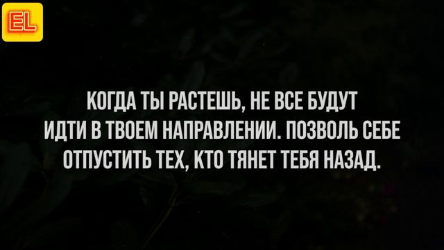 Мудрые цитаты смотреть онлайн