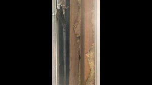 Обзор кронштейн для ТВ DEXP BL 55CFTS 3 черный