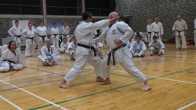 Kagawa Shihan Nijushiho смотреть онлайн