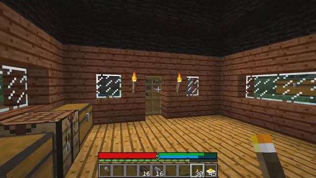 Del plays TerraFirmaCraft - Ep. 10 "Hello charcoal, goodbye wood." смотреть онлайн