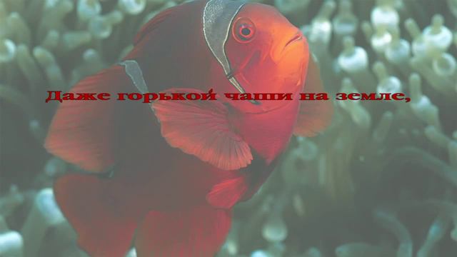 040. Иисус - сокровище святое! смотреть онлайн