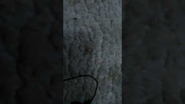 Как потключить колонку JBL Clip 2 смотреть онлайн