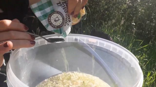 Прохладительный Напиток из Бузины с Мятой в Жару (квас) смотреть онлайн