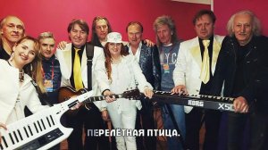 «КРАСНЫЕ МАКИ» — ПЕРЕЛЁТНАЯ ПТИЦА