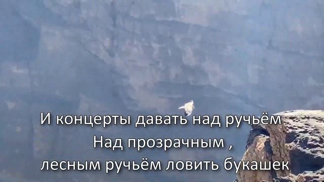 Александр Кирницкий. Рок музыкант, музыкант, бас-гитарист группы "Круиз", Человек. "Моё желание". смотреть онлайн