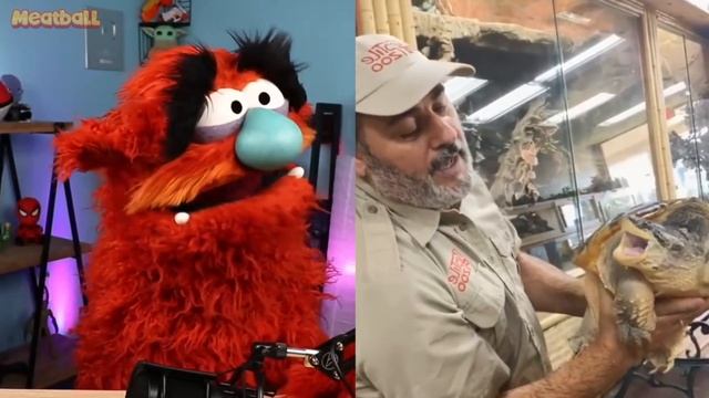 Most DANGEROUS Animals In The WORLD ! смотреть онлайн