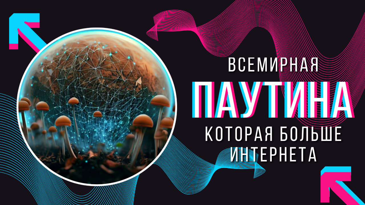 Всемирная Паутина, которая больше Интернета смотреть онлайн