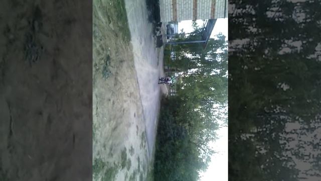 Обзор калины смотреть онлайн